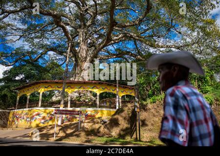 Plaza turistica La Ceiba in Salcoatitan Sonsonate El Salvador Central America. Ruta De Las Flores, Department Of Sonsonate. Stock Photo