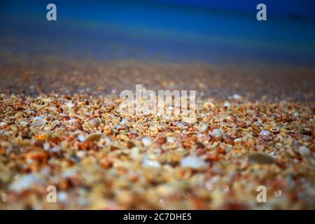 Pebbles on the beach in Antigua Stock Photo