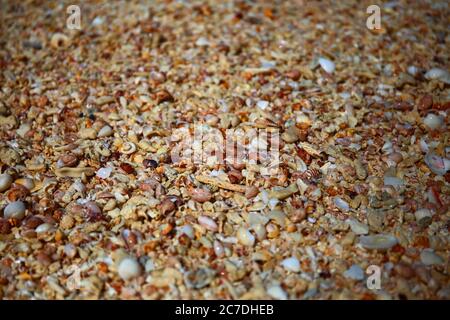 Pebbles on the beach in Antigua Stock Photo