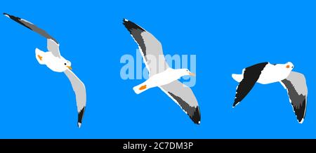 Set of three flying seagulls on a blue background Stock Vector