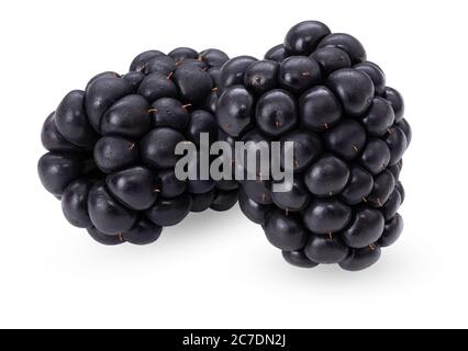Blackberry isolated on white background. Organic ripe berry. Side view. Clipping path. Professional studio macro shot. Two fresh summer wild berries Stock Photo