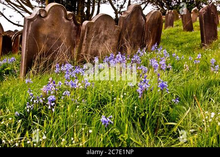 Cemetery, Robin Hood's Bay, England Stock Photo