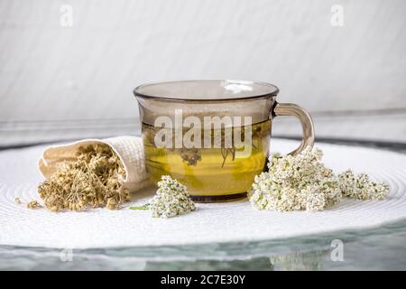 Still life of Achillea millefolium, yarrow or common yarrow herbal medicinal tea in glass with dry tea powder and fresh blossoms on white minimal set
