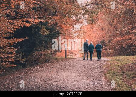 three people hiking or walking through a forest in autumn Stock Photo