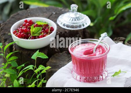 Red currant custard and currant berries on old stumps in the garden. Stock Photo