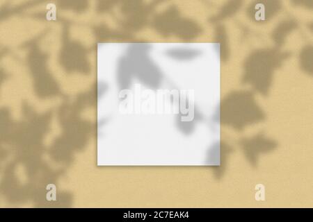 Mockup of a square paper card with a tree shadow Stock Photo