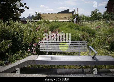 New York, United States. 16th July, 2020. Benches have a neon yellow circle for social distancing at The High Line park when it reopens to the public with limited capacity after temporarily closing in March to help limit the spread of COVID-19 in New York City on Thursday, July 16, 2020. The park reopens with a number of protocols that will be enforced to ensure that all visitors can maintain social distancing in accordance with City guidelines. Photo by John Angelillo/UPI Credit: UPI/Alamy Live News Stock Photo