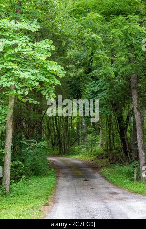 Peaceful small country lane in Tennessee Stock Photo