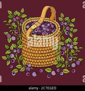 Blueberries in basket. Cartoon vector illustration Stock Vector