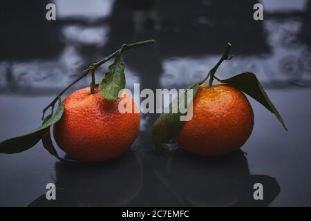 Closeup focused shot of two oranges with green leaves on a wet gray surface Stock Photo