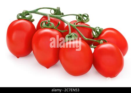 Bunch of red roma vf tomatoes. Solanum lycopersicum. Fresh plum tomato cluster. Vegetable isolated on white background. Stock Photo