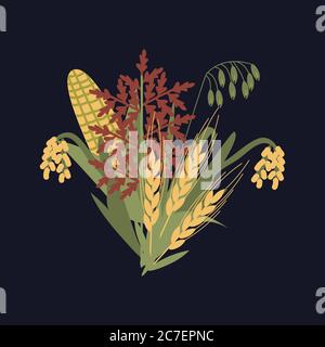 Cereal plants bunch vector illustration Stock Vector