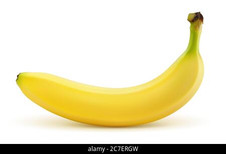 Vector banana on white background Stock Vector