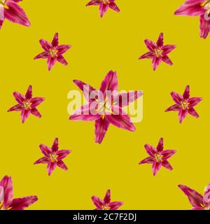 Seamless pattern with deep magenta pink Oriental stargazer lilies in two sizes on vivid yellow background. Stock Photo