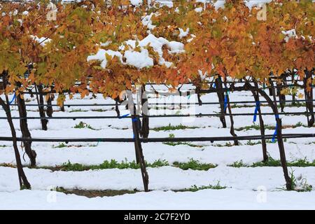 Danza Del Sol Winery, Temecula Valley, Southern California, USA Stock Photo