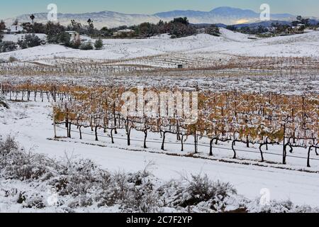 Danza Del Sol Winery, Temecula Valley, Southern California, USA Stock Photo