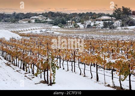 Danza Del Sol Winery, Temecula Valley, Southern California, USA Stock Photo