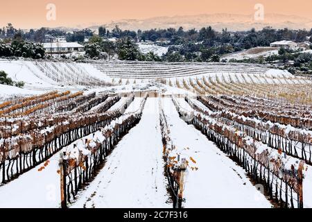 Danza Del Sol Winery, Temecula Valley, Southern California, USA Stock Photo