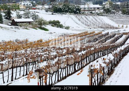 Danza Del Sol Winery, Temecula Valley, Southern California, USA Stock Photo