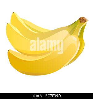 The banana is ripe. Vector. Realistic. Sweet tropical fruit. Ripe yellow banana. Southern exotic. Palm fruit. Isolated object. Vector illustration. Stock Vector