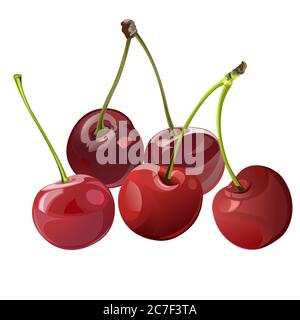 Cherry. Vector. Sweet and sour. Red. Garden fruits. Berry. Fresh, drink. Delicious. Health vegetarian food. Dessert. Vector illustration isolated Stock Vector