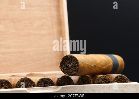 Robusto cigar with light wrapper and black ring on cigar box with black background. Stock Photo