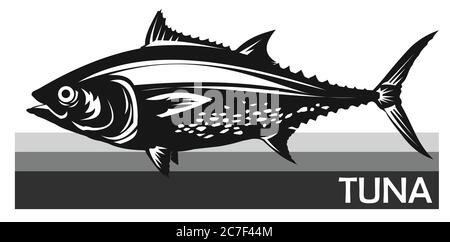 Tuna fish is a species of mackerel. Tunny. Thunnus. Fish for labels, logo, packaging. Fishing for tuna. Atlantic or Pacific tuna. Family Scombridae. Stock Vector