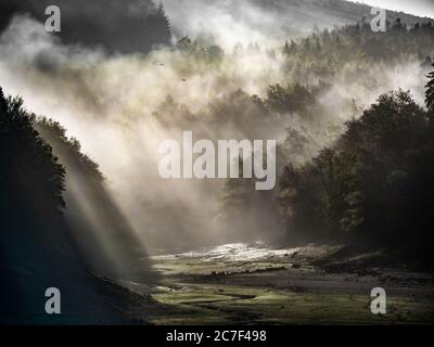 Beautiful shot of forested mountains with the sun shining through the fog Stock Photo