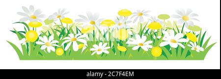 Yellow dandelions and white daisies. Isolated vector illustration. Wild meadow flowers. Cartoon style.. Spring grass and flowers. Background image. Stock Vector