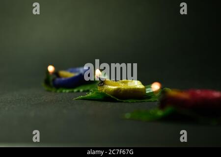 A closeup photograph of three colored Diya or Clay Lamp on a leaf. Stock Photo