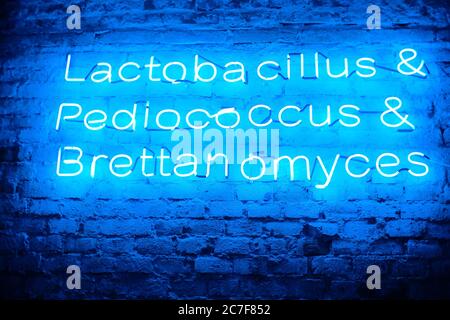 Low angle shot of some words written in blue neon lights on a brick wall Stock Photo