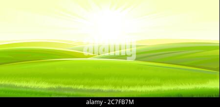 Sunny rural landscape. Vector. Green meadows and fields, grassy hills flooded with bright rays of sunlight. Ripe juicy grass. Summer, spring morning. Stock Vector