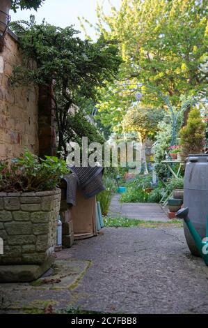 view of a back yard & patio looking on to an attractive English garden on a sunny spring evening. Stock Photo