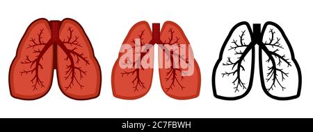 Healthy lungs, bronchus and human trachea. Whole. Set. Color image and monochrome icon. A series of illustrations on the internal organs. Isolated vec Stock Vector