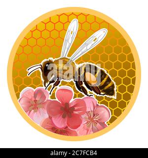Label design for honey jars. Sticker on the side of the container. The concept of appearance. Beautiful packaging for bee honey. Paper stickers Stock Vector