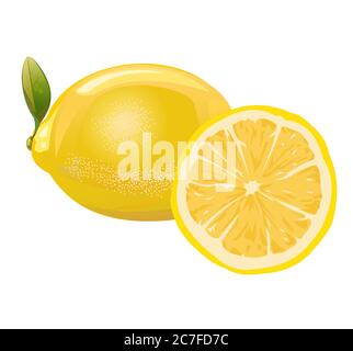Lemon. Sour citrus fruit. Yellow southern fruit. Isolated object. Vector illustration. Ripe juicy lemon. Stock Vector
