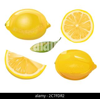 Lemon. Sour citrus fruit. Yellow southern fruit. Isolated object. Vector illustration. Ripe juicy lemon. Stock Vector