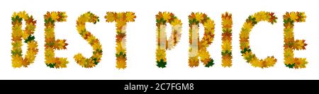 Phrase Best price of yellow, green and orange maple autumn leaves close-up. Isolate on white background. Stock Photo