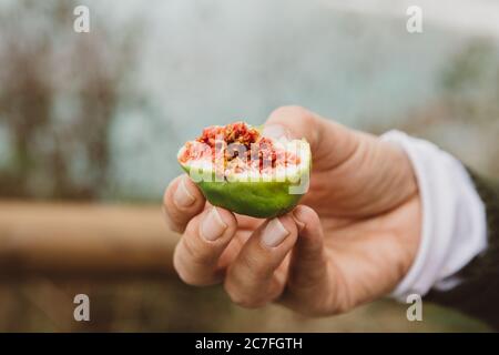 Half of a fresh, juicy and sweet red and green fig freshly picked from the tree, holding in the woman's hand Stock Photo