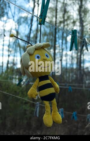 Children's toy after washing. The toy bee hangs on a string attached with a clothespin and is dried after washing. Games with a child, drying toys on Stock Photo