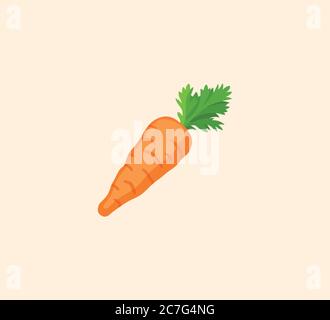 Carrot vector isolated illustration. Carrot icon Stock Vector