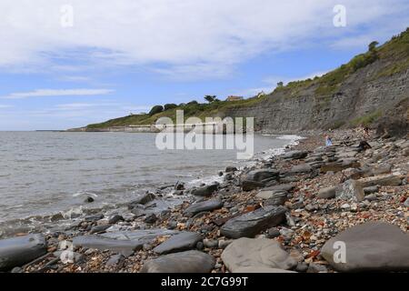 Fossil hunting at low tide between Lyme Regis and Charmouth, Dorset, England, Great Britain, United Kingdom, UK, Europe Stock Photo