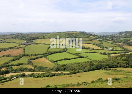 Stonebarrow Hill seen from Golden Cap, South West Coast Path, near Lyme Regis, Dorset, England, Great Britain, United Kingdom, UK, Europe Stock Photo