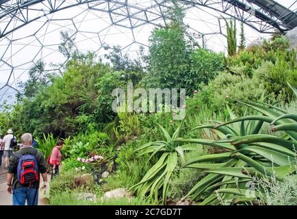 eden project visitor's centre roof above grass Stock Photo - Alamy