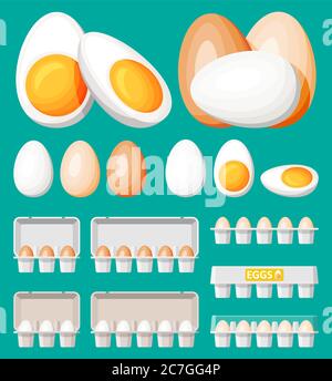 Set eggs in cardboard package isolated on green. Cartoon white and brown egg icon in tray. Dairy food and grocery. Easter mockup concept. Flat vector illustration. Stock Vector
