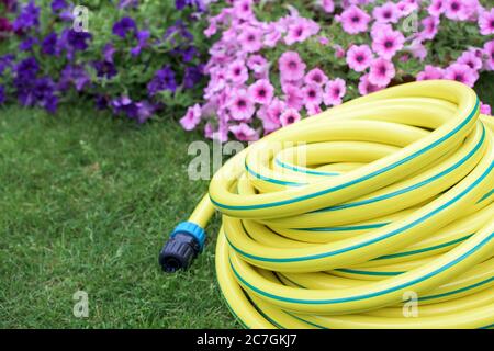 Plastic yellow rolled up hose pipe with connector on the grass and flowers Stock Photo