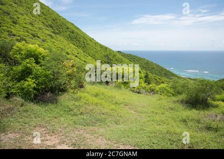Steep hillside with lush greenery and Caribbean Sea seascape from the Goat Hill hike on the East End of St. Croix in the US Virgin Islands Stock Photo