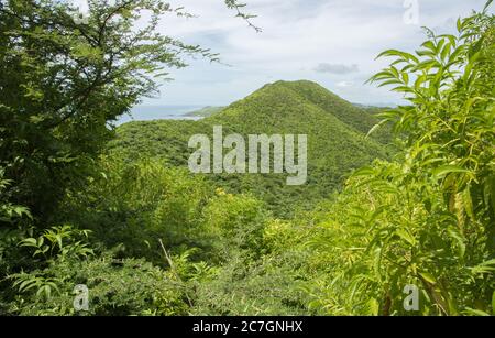 Panoramic view of the rolling hill range and Caribbean Sea from the Goat Hill hike on the East End of St. Croix in the US Virgin Islands Stock Photo