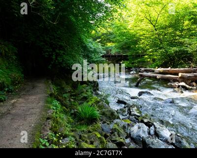 Footpath along the East Lyn River between Watersmeet and Lynmouth, Exmoor, Devon, UK Stock Photo