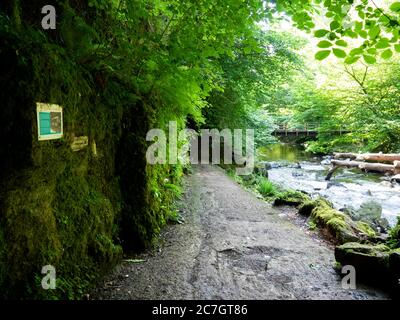 Lynrock Fountain mineral water factory, operated from 1911-1939,  the most of the abandoned factory was washed away in the 1952 flood. Watersmeet, Exm Stock Photo